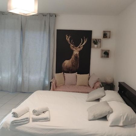 Chaleureux Studio Toulouse Dış mekan fotoğraf