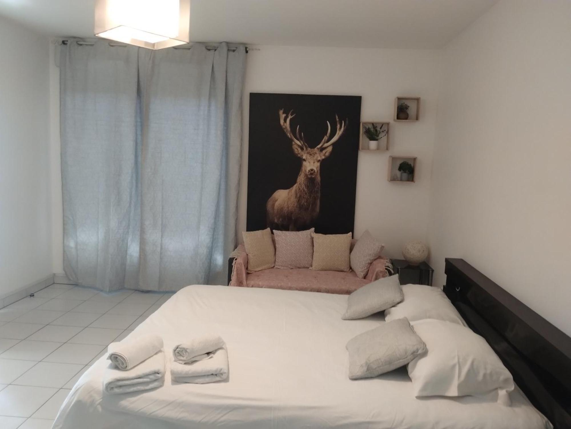 Chaleureux Studio Toulouse Dış mekan fotoğraf