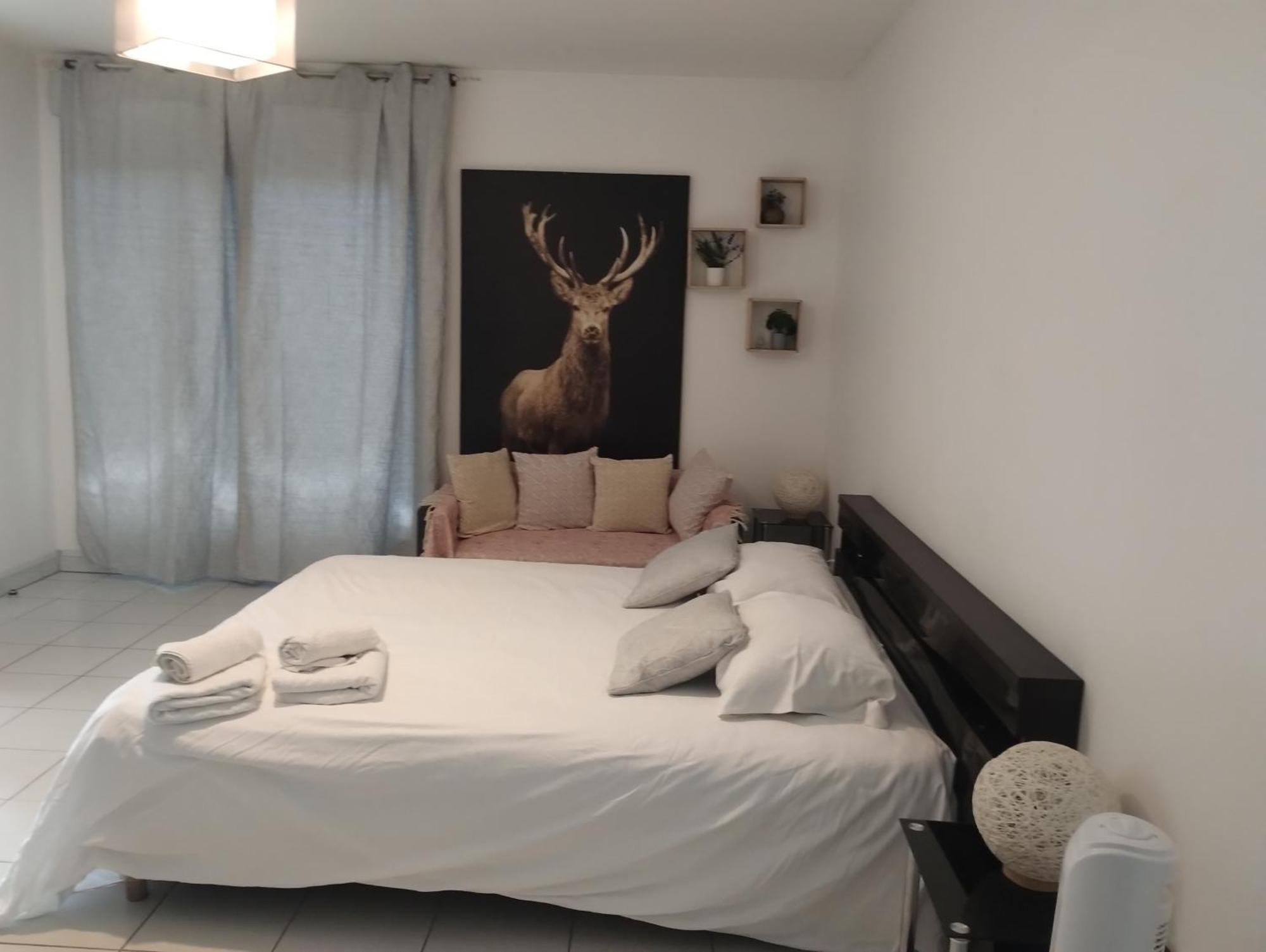 Chaleureux Studio Toulouse Dış mekan fotoğraf